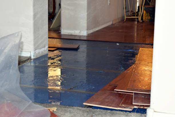 Professional Basement Flood Cleanup technician working in Redwood, OR